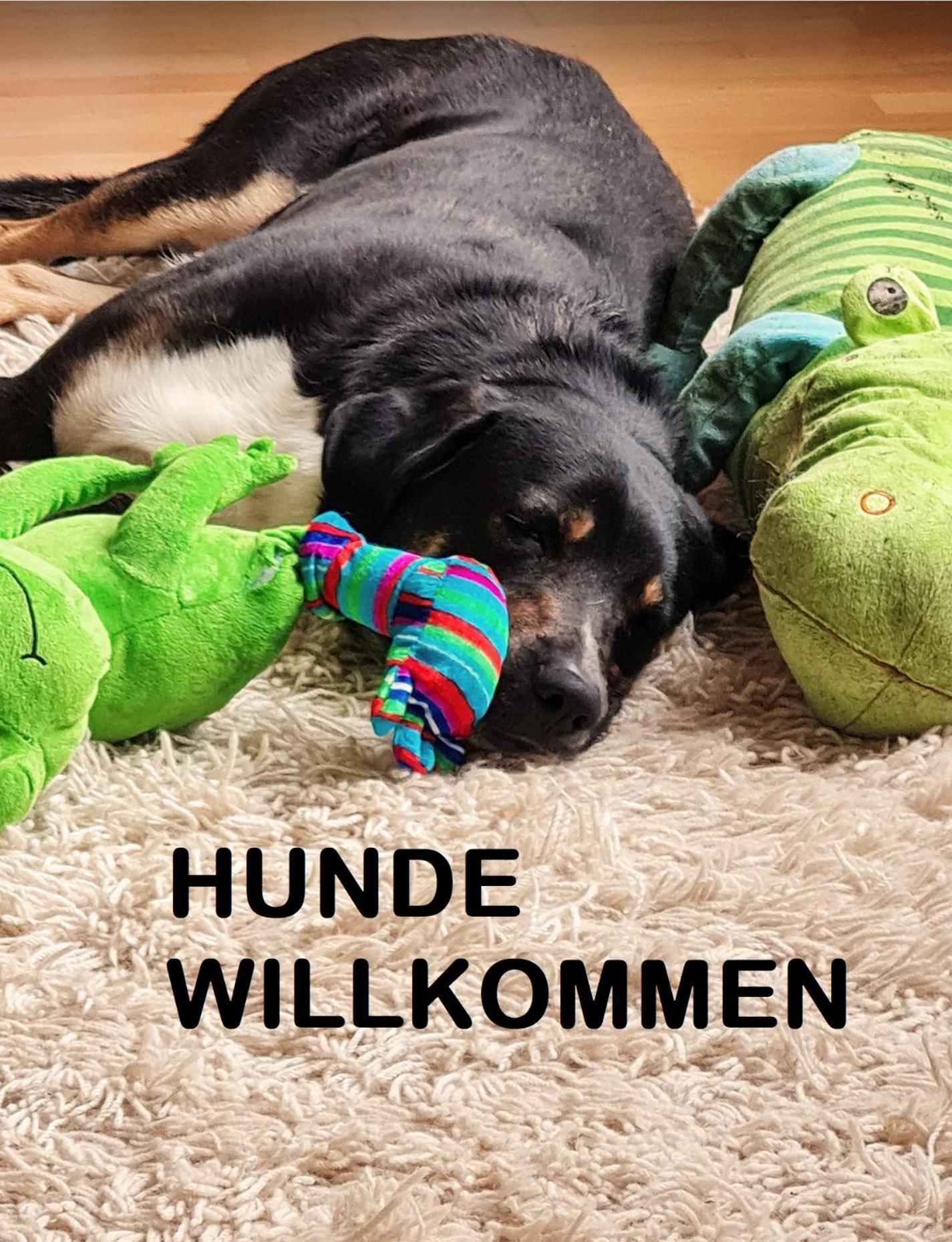 Muehle In Der Pferdewelt Reichenau Apartment Luaran gambar